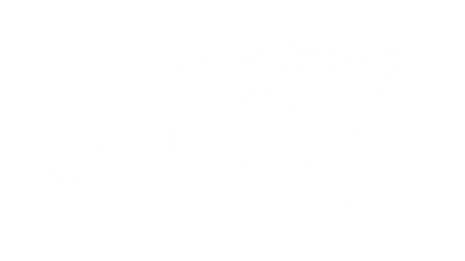 White Shark
